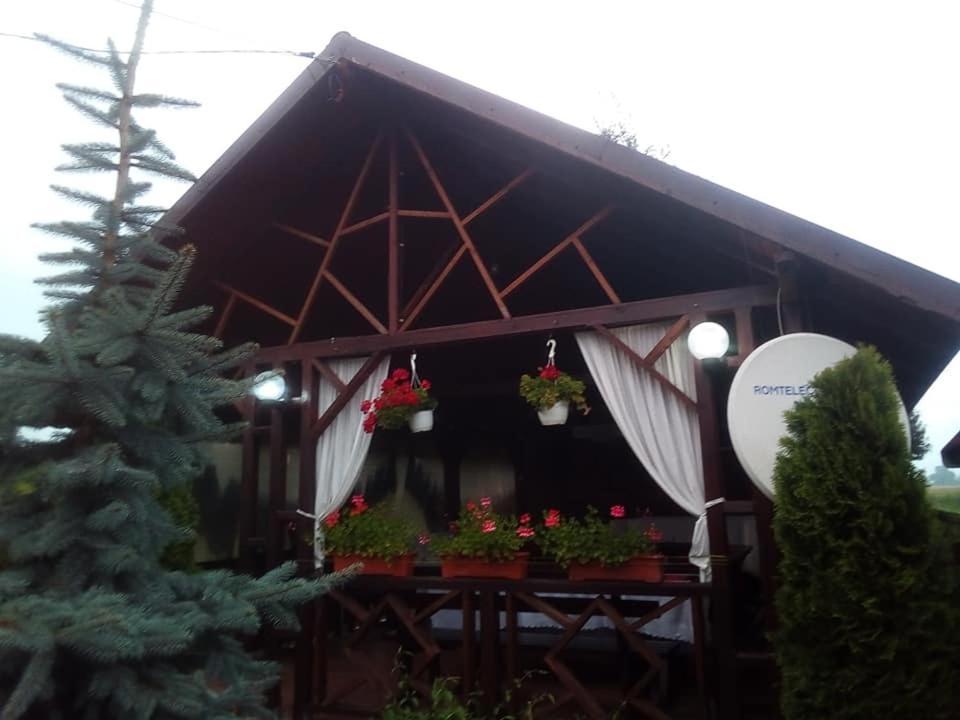 Pensiunea Denisa Sacalusesti Exterior photo
